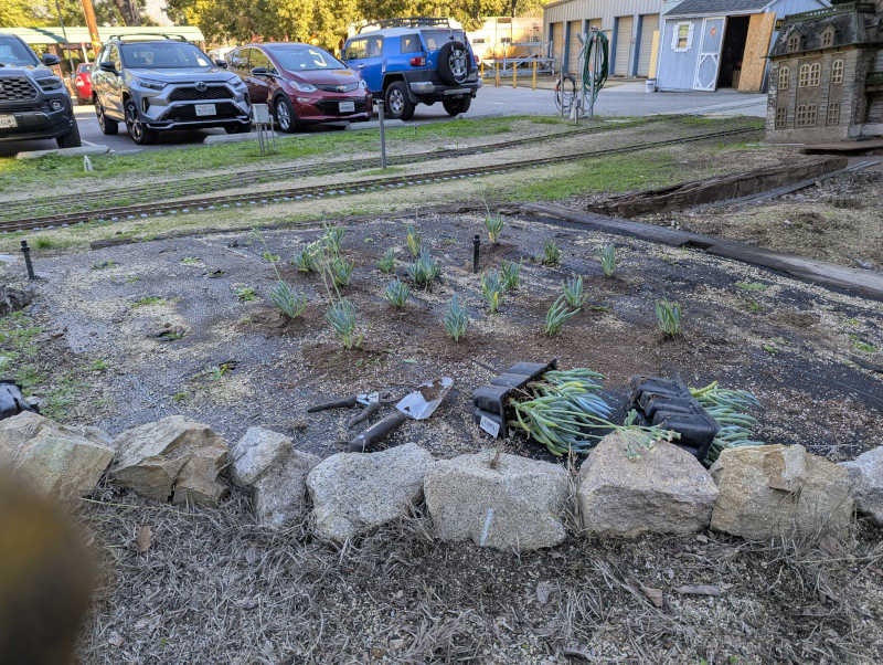 Planting in progress