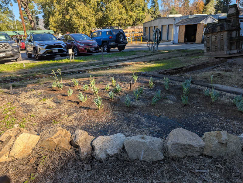 Planting complete